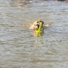 Giocattoli per cani Trixie 29 cm