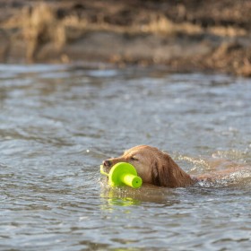 Giocattoli per cani Trixie 29 cm
