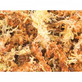 Sottofondo Trixie 4,5 L Muschio