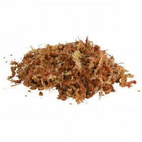 Sottofondo Trixie 4,5 L Muschio