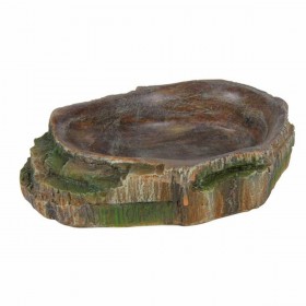 Mangiatoia Trixie 10 × 2,5 × 7,5 CM Rettili