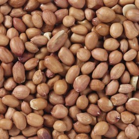 Mangime per uccelli Deli Nature Premium 3 Kg
