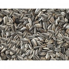 Mangime per uccelli Deli Nature Premium