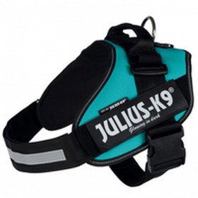 Imbracatura per Cani Julius K9 IDC Azzurro L/XL 2