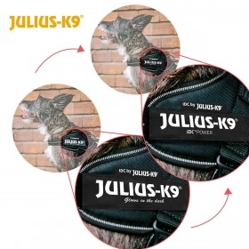 Imbracatura per Cani Julius K9 IDC Cowboy S