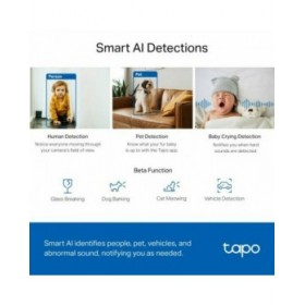 Videocamera di Sorveglianza TP-Link TC72