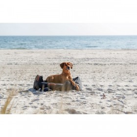 Collari da addestramento per cani Trixie Be Nordic Marrone S/M 40 cm