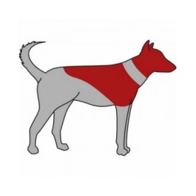 Collare protettivo per cane Trixie Azzurro Gonfiabile (66-78 cm)