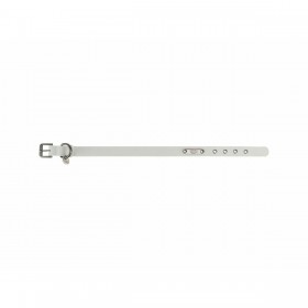 Collare per Cani Trixie Grigio chiaro XS/S 25-32 cm