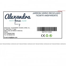 Vaso da pavimento Alexandra House Living Trasparente Cristallo 31 x 31 x 69 cm