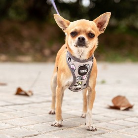 Imbracatura per Cani Disney XXS/XS Grigio