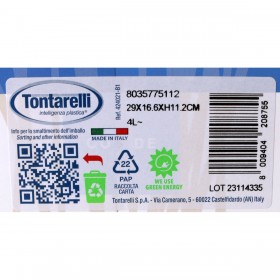 Scatola portaoggetti con coperchio Tontarelli Arianna Plastica Bianco 4 L 29 x 16,6 x 11,2 cm (8 Unità)