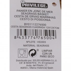Cestino Multiuso Privilege Erba di mare Quadrato 12 x 12 x 7 cm (24 Unità)