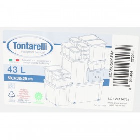Scatola con Ruote per Organizzare Tontarelli 59 x 38 x 29 cm (6 Unità)