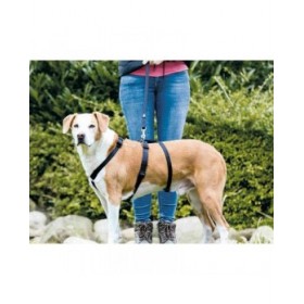 Imbracatura guida per cane Trixie Stay Nero M/L