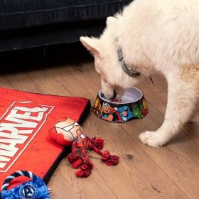 Ciotola per cani Marvel Melammina 180 ml