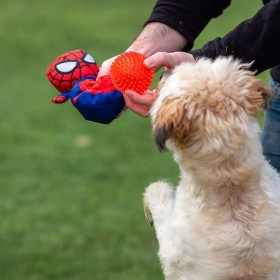 Giocattoli per cani Spider-Man Rosso 11,0 x 18,0 x 10,0 cm
