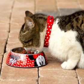 Ciotola per cani Minnie Mouse Melammina 410 ml Multicolore