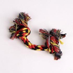 Set Regalo Harry Potter Rosso Scuro 21,0 x 21,0 x 8,8 cm Cane 4 Pezzi