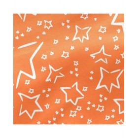 Federa HappyFriday Le Petit Prince Migration Multicolore 50 x 75 cm
