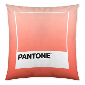 Fodera per cuscino Ombre B Pantone Localization-B086JQB7QD Reversibile 50 x 50 cm