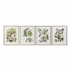 Quadro DKD Home Decor Bird 55 x 2,5 x 70 cm Tropicale Uccelli (4 Pezzi)
