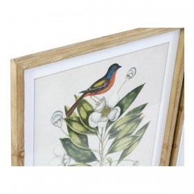Quadro DKD Home Decor Bird 55 x 2,5 x 70 cm Tropicale Uccelli (4 Pezzi)