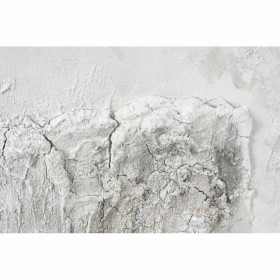 Quadro DKD Home Decor Tela 100 x 3,8 x 100 cm Alberi Cottage (2 Unità)