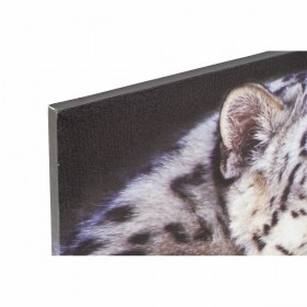 Quadro DKD Home Decor Tigre Coloniale (80 x 1,8 x 40 cm) (2 Unità)
