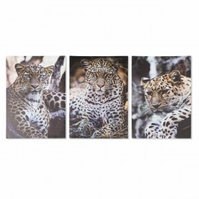 Quadro DKD Home Decor Leopardo Coloniale (50 x 1,8 x 70 cm)