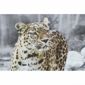 Quadro DKD Home Decor Leopardo Coloniale (50 x 1,8 x 70 cm) (4 Unità)