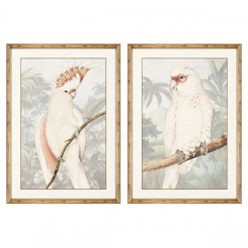 Quadro DKD Home Decor Pappagallo Tropicale 50 x 3 x 70 cm (2 Unità)