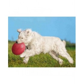 Frisbee Trixie Caucciù Ø 24 cm