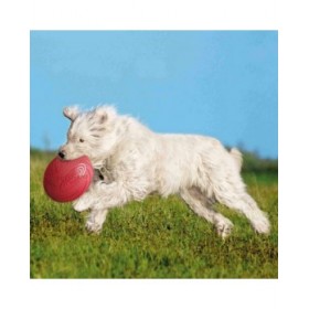 Frisbee Trixie Caucciù Ø 24 cm