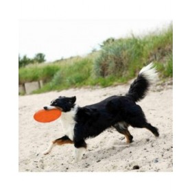 Frisbee Trixie TPR Ø 22 cm