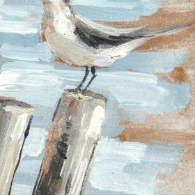 Quadro DKD Home Decor Uccelli Mediterraneo (45 x 2,7 x 45 cm) (2 Unità)