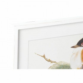 Quadro DKD Home Decor 60 x 2,5 x 60 cm Uccello Shabby Chic (4 Pezzi)