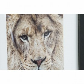 Quadro DKD Home Decor Coloniale Giungla (35 x 2,5 x 45 cm) (35 x 2 x 45 cm) (4 Unità)