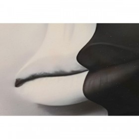 Quadro DKD Home Decor Donna (80 x 3 x 120 cm) (2 Unità)