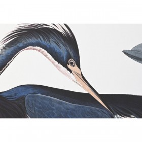 Quadro DKD Home Decor 123 x 4,5 x 83 cm 83 x 4,5 x 123 cm Uccello Orientale (2 Unità)