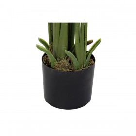 Pianta Decorativa DKD Home Decor Palme Verde PE (50 x 50 x 180 cm)