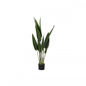 Pianta Decorativa DKD Home Decor 40 x 40 x 115 cm Polietilene Verde Uccello del Paradiso Città
