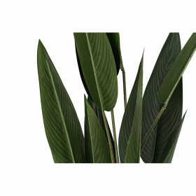 Pianta Decorativa DKD Home Decor 40 x 40 x 115 cm Polietilene Verde Uccello del Paradiso Città