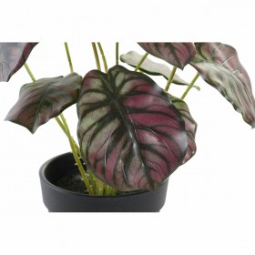 Pianta Decorativa DKD Home Decor Rosa Verde PE (10 x 10 x 27 cm)