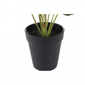 Pianta Decorativa DKD Home Decor Rosa Verde PE (10 x 10 x 27 cm)