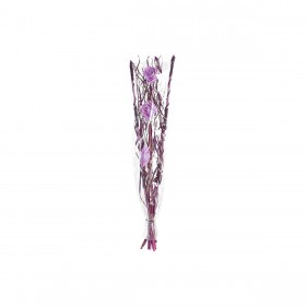 Mazzo DKD Home Decor Rosa Lilla Bianco Fiore secco (30 x 30 x 100 cm) (2 Unità)