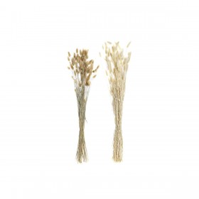 Mazzo DKD Home Decor Beige Marrone Fiore secco (12 x 12 x 76 cm) (2 Unità)