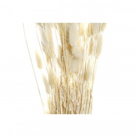 Mazzo DKD Home Decor Beige Marrone Fiore secco (12 x 12 x 76 cm) (2 Unità)