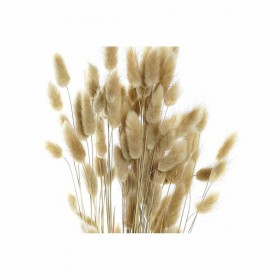 Mazzo DKD Home Decor Beige Marrone Fiore secco (12 x 12 x 76 cm) (2 Unità)