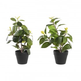 Pianta Decorativa DKD Home Decor Verde PP PE Ficus (2 Unità) (21 x 18 x 30 cm)